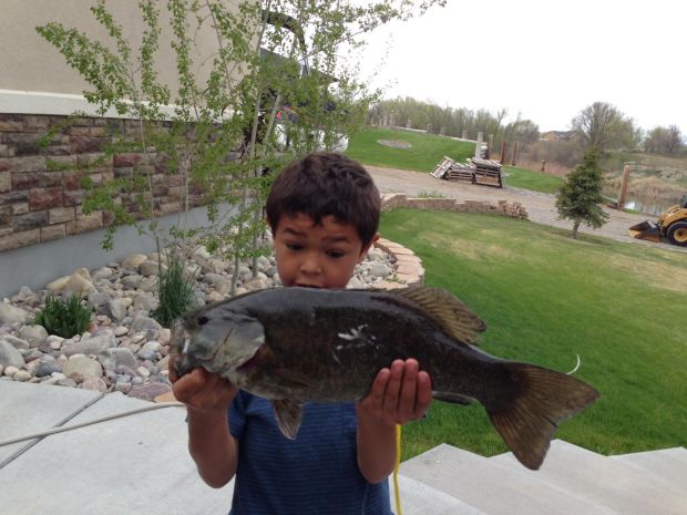 Small Mouth Bass